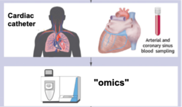 Cardiac catheterisation