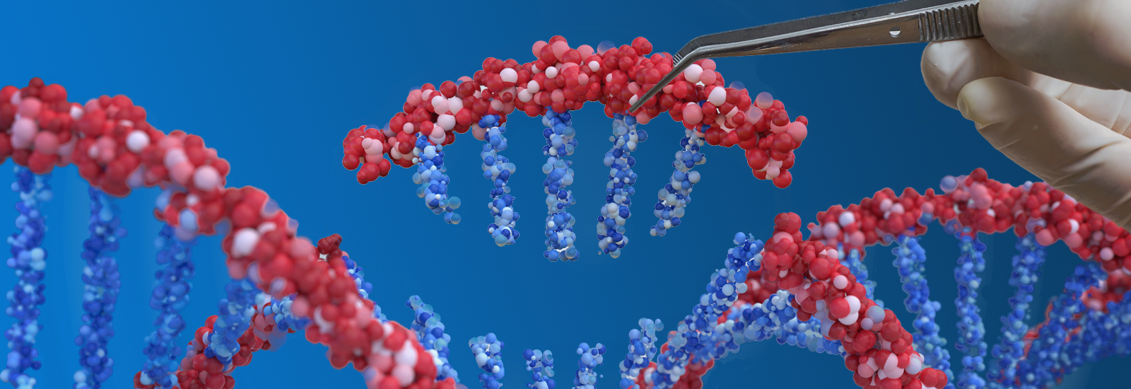 CRISPR Validation Platform