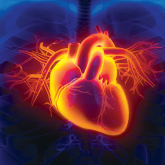 The dark heart of type 2 diabetes