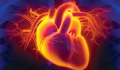 The dark heart of type 2 diabetes