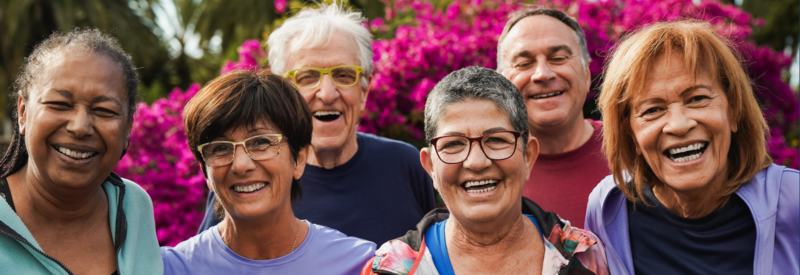 Writing or updating your Will
