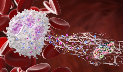Can plastics in our arteries trigger heart disease?