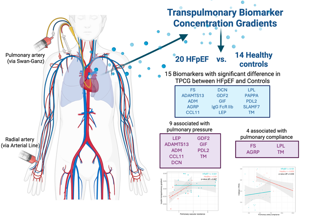 Organ-specific blood sampling