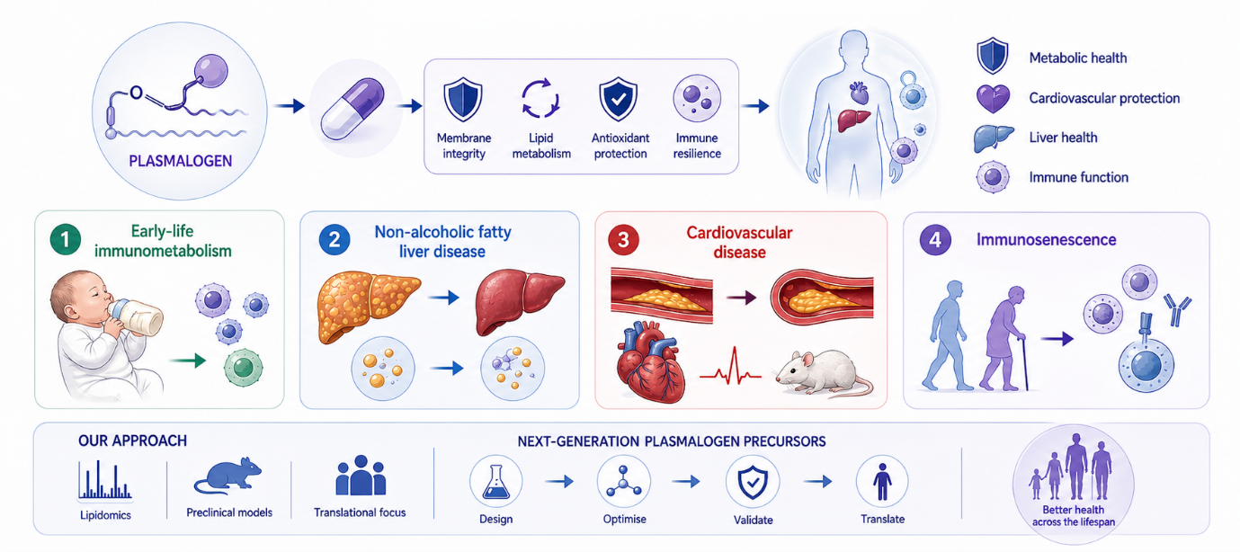 Plasmalogen supplementation to prevent and treat cardiometabolic disease