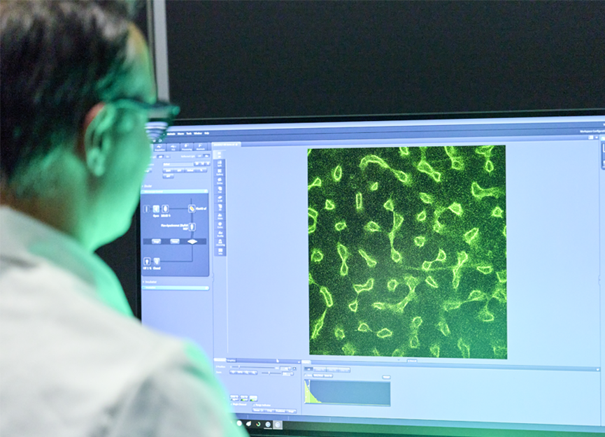 Research excellence