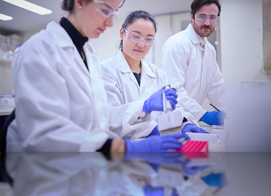 Our research